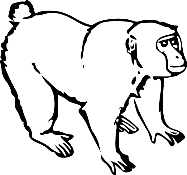 Dessin à colorier: Singe (Animaux) #14173 - Coloriages à Imprimer Gratuits