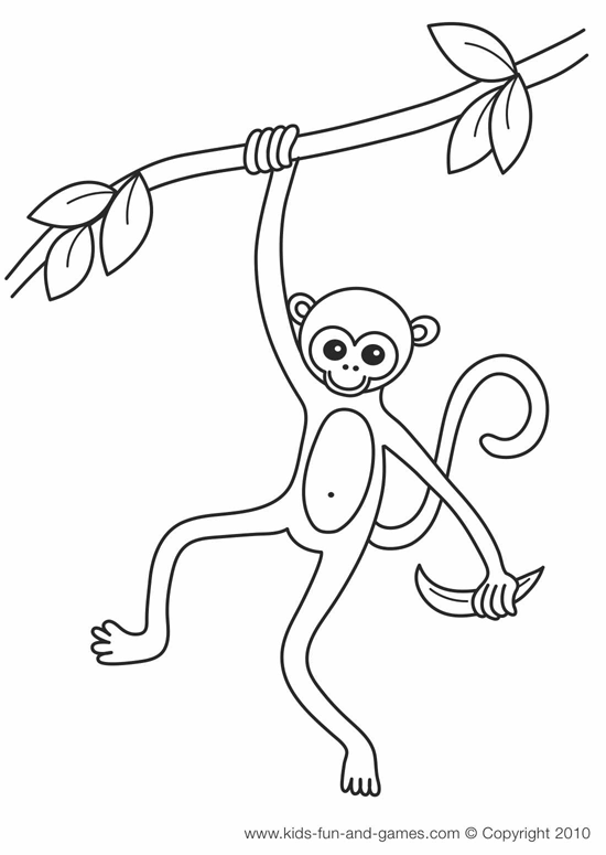 Dessin à colorier: Singe (Animaux) #14184 - Coloriages à Imprimer Gratuits