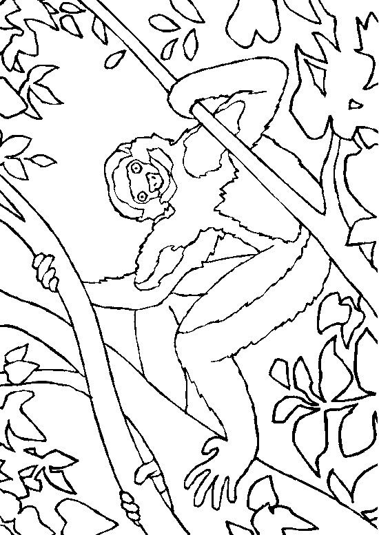 Dessin à colorier: Singe (Animaux) #14185 - Coloriages à Imprimer Gratuits