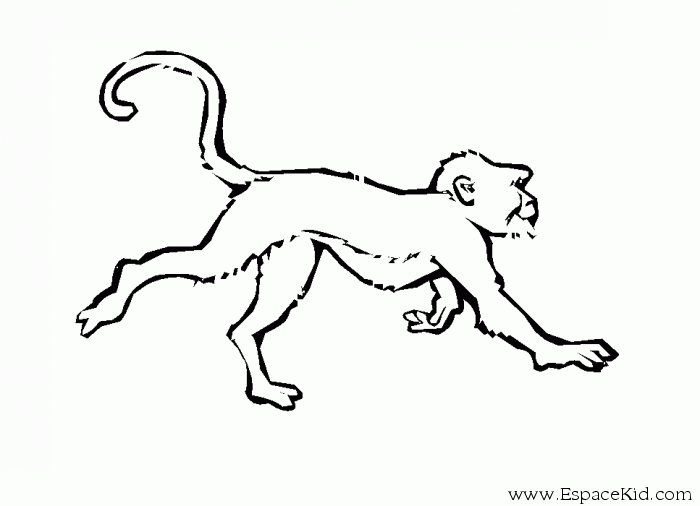 Dessin à colorier: Singe (Animaux) #14214 - Coloriages à Imprimer Gratuits