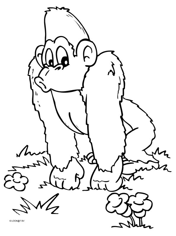 Dessin à colorier: Singe (Animaux) #14242 - Coloriages à Imprimer Gratuits