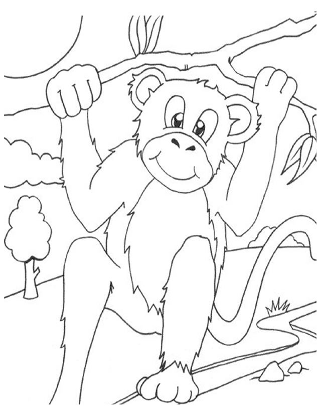 Dessin à colorier: Singe (Animaux) #14252 - Coloriages à Imprimer Gratuits