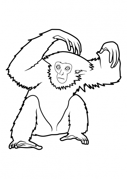 Dessin à colorier: Singe (Animaux) #14261 - Coloriages à Imprimer Gratuits