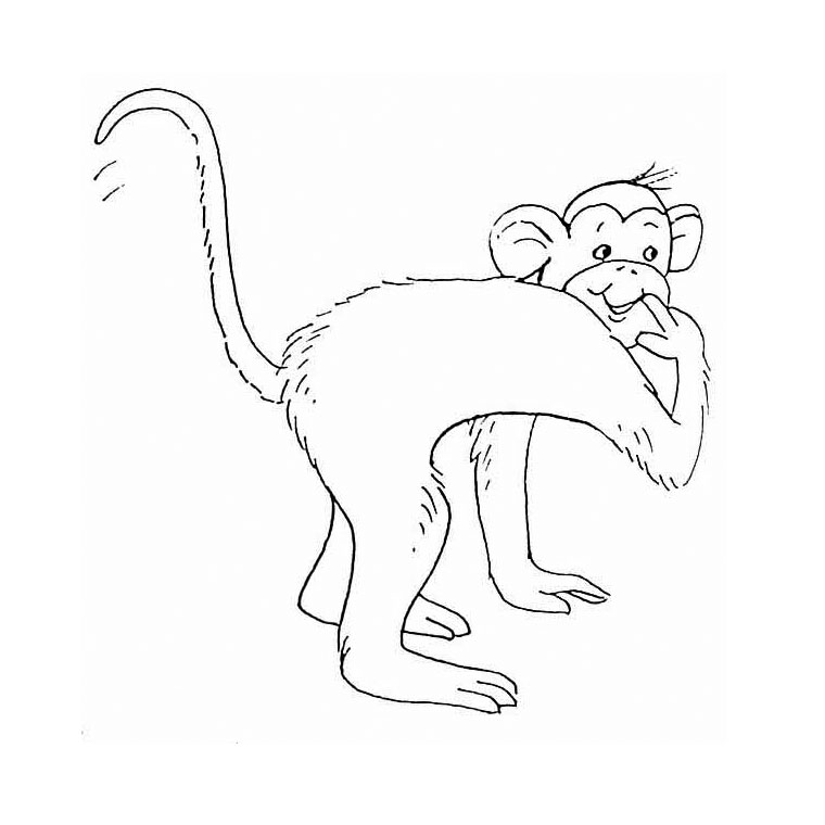 Dessin à colorier: Singe (Animaux) #14278 - Coloriages à Imprimer Gratuits