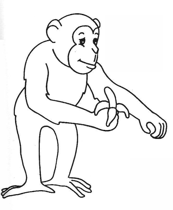 Dessin à colorier: Singe (Animaux) #14291 - Coloriages à Imprimer Gratuits