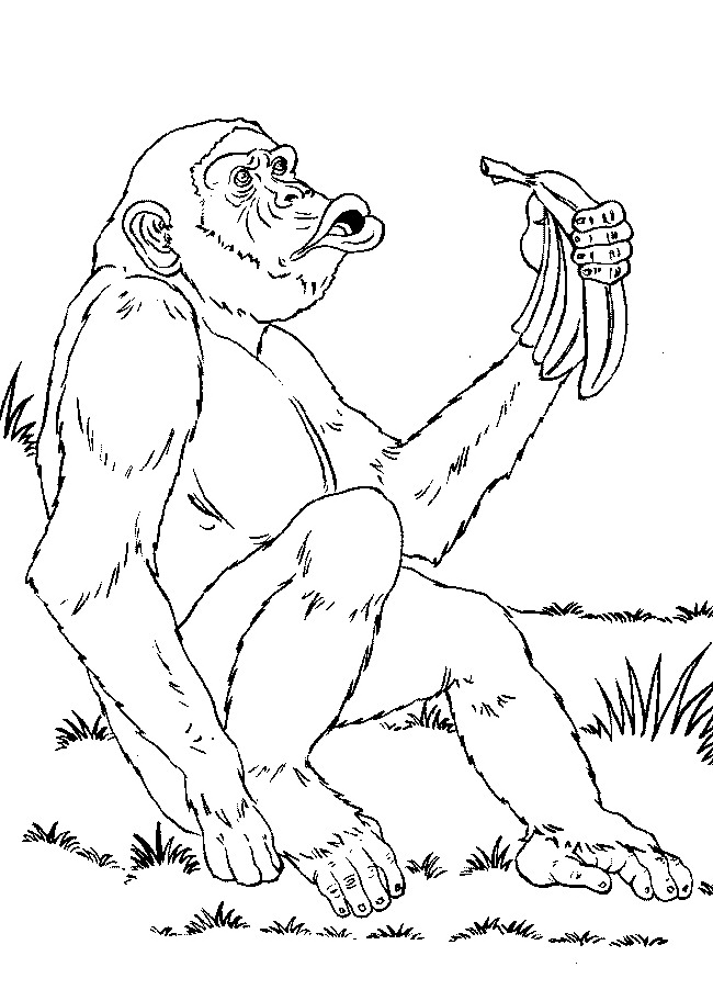 Dessin à colorier: Singe (Animaux) #14302 - Coloriages à Imprimer Gratuits