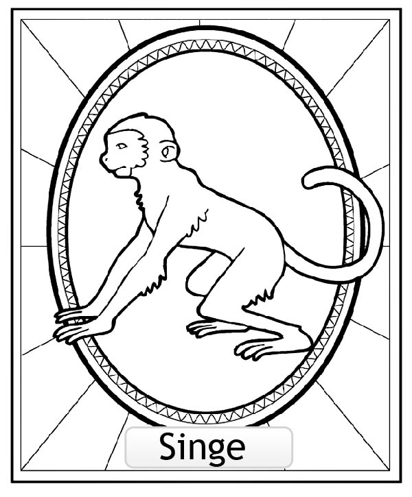 Dessin à colorier: Singe (Animaux) #14318 - Coloriages à Imprimer Gratuits