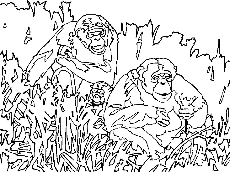 Dessin à colorier: Singe (Animaux) #14331 - Coloriages à Imprimer Gratuits