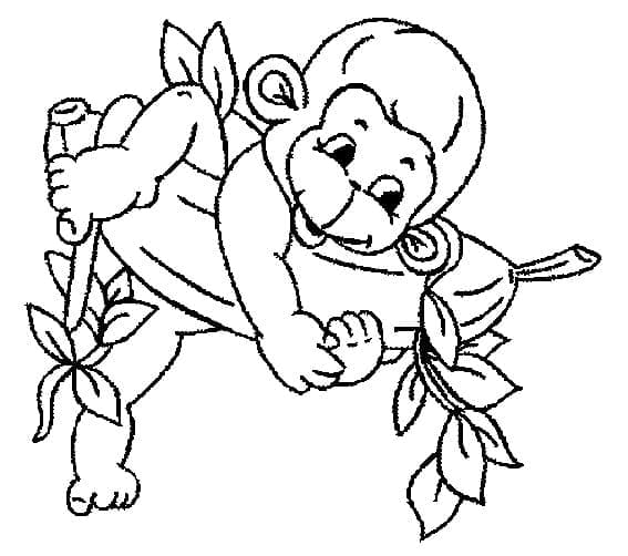 Coloriage gratuit Singe #175053 de la collection Animaux à imprimer
