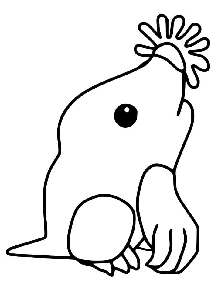 Coloriage gratuit Taupe #210772 de la collection Animaux à imprimer