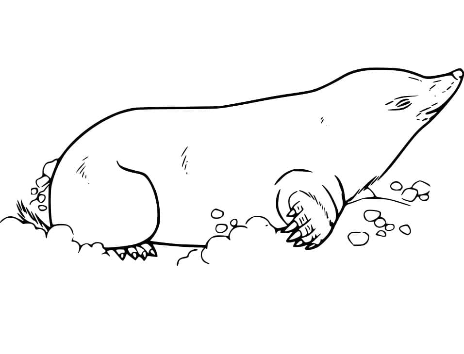 Coloriage gratuit Taupe #210777 de la collection Animaux à imprimer