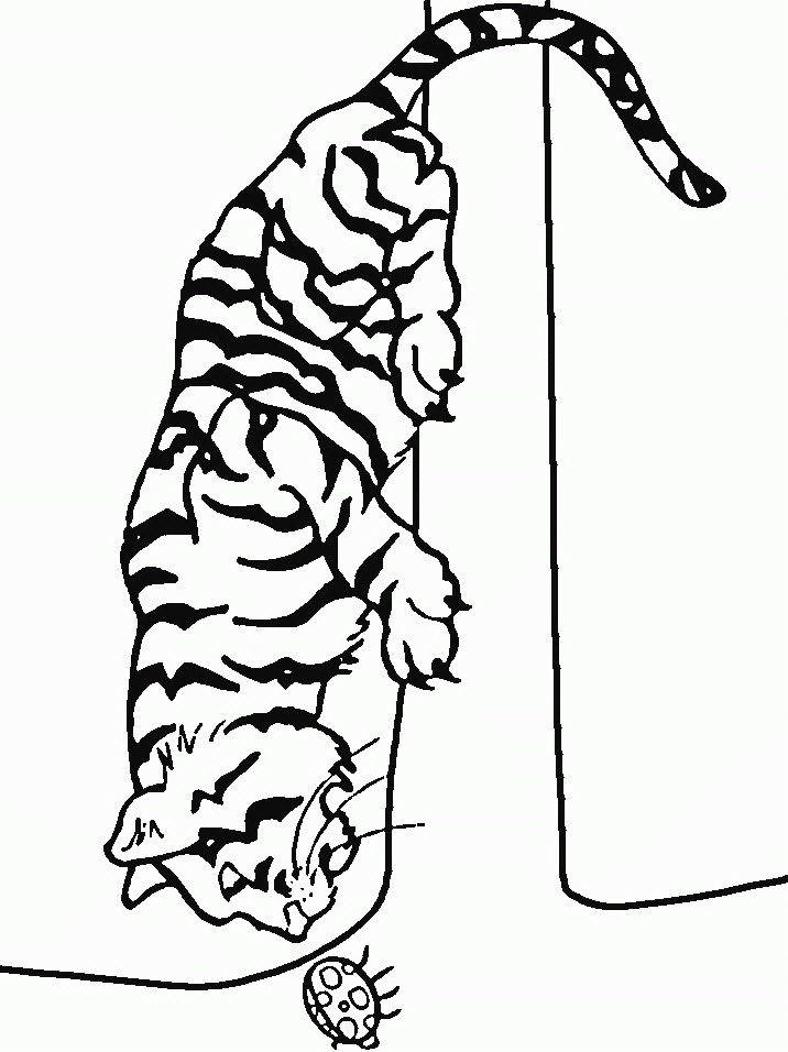 Dessin à colorier: Tigre (Animaux) #13651 - Coloriages à Imprimer Gratuits