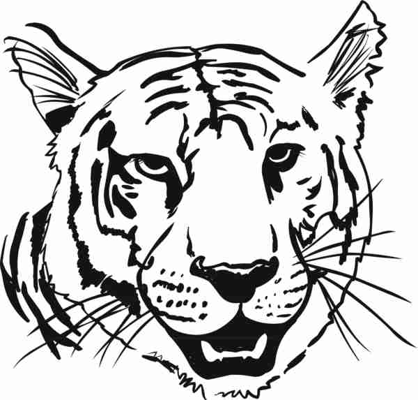 Dessin Tigre #13666 (Animaux) à colorier – Coloriages à imprimer