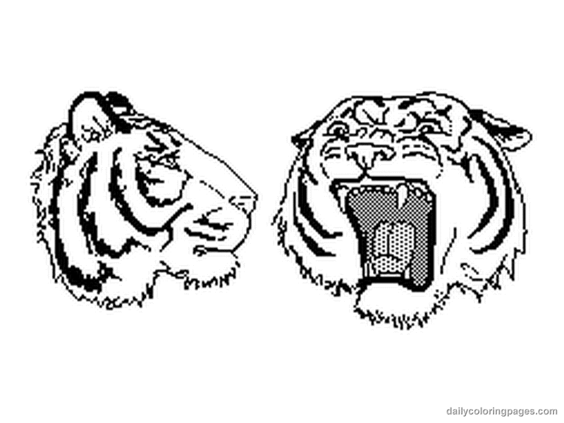 Dessin Tigre #13697 (Animaux) à colorier – Coloriages à imprimer