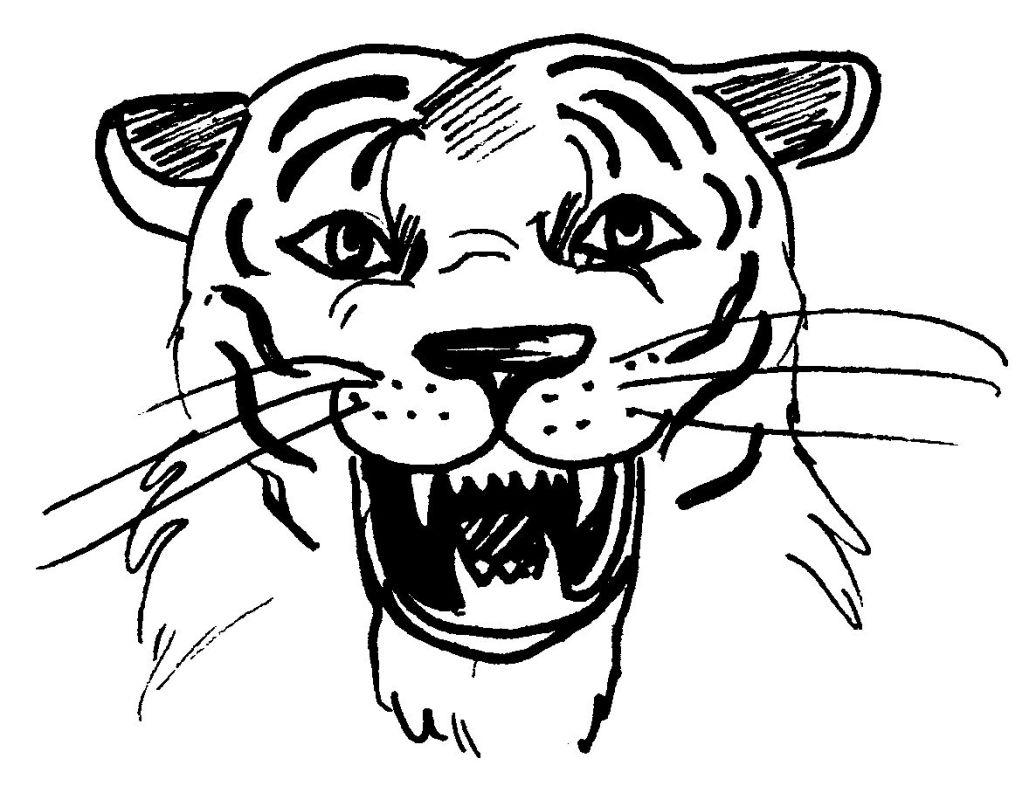 Dessin Tigre Animaux A Colorier Coloriages A Imprimer