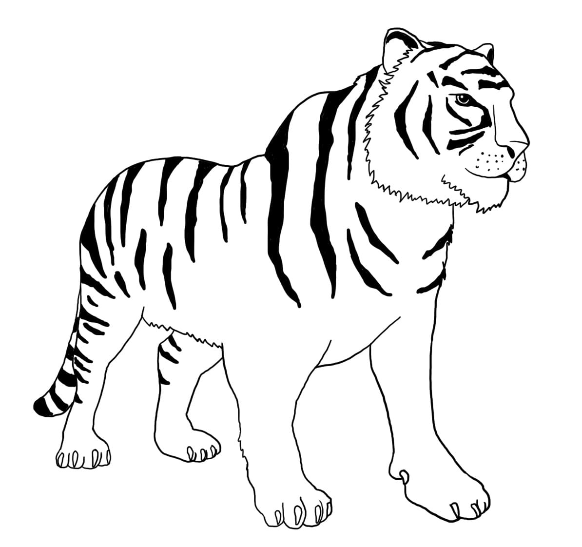 Page de coloriage Tigre #174913, collection Animaux, à imprimer et colorier
