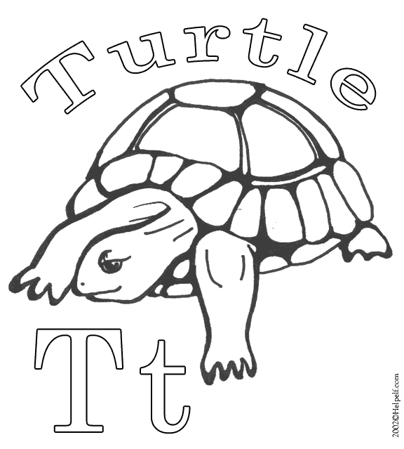 Dessin à colorier: Tortue (Animaux) #13462 - Coloriages à Imprimer Gratuits