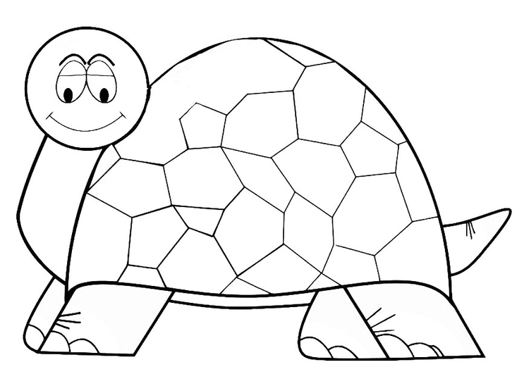 Dessin à colorier: Tortue (Animaux) #13464 - Coloriages à Imprimer Gratuits