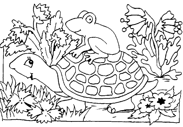 Dessin à colorier: Tortue (Animaux) #13557 - Coloriages à Imprimer Gratuits