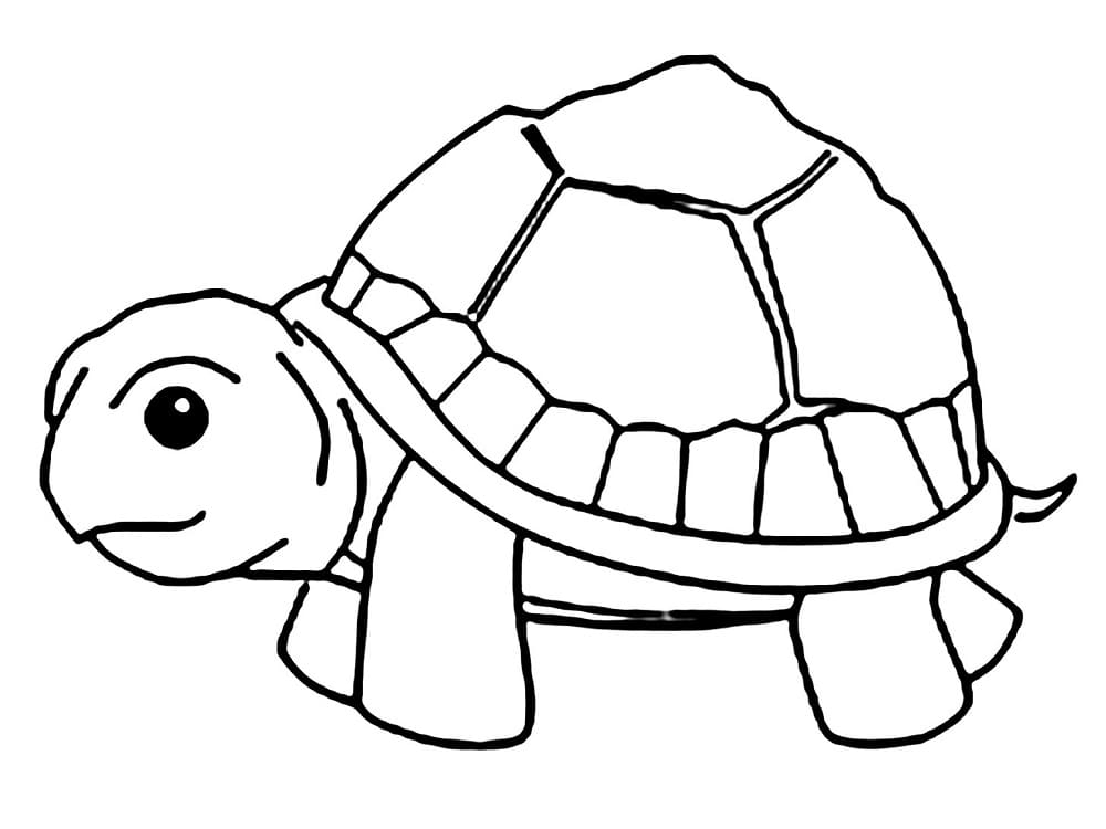 Coloriage à imprimer Tortue #180089 de la série Animaux, gratuit pour enfants et adultes