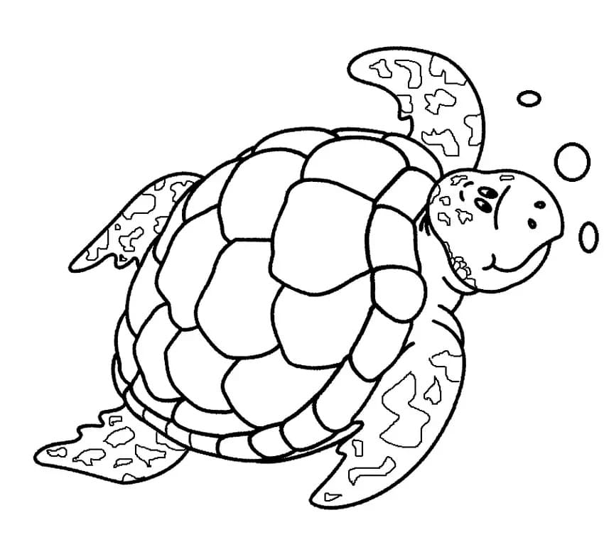 Illustration au trait Tortue #180090 de la collection Animaux à colorier gratuitement