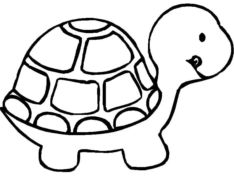 Coloriage gratuit Tortue #180093 de la collection Animaux à imprimer