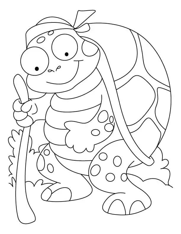 Dessin Tortue #180108 à colorier de la série Animaux, gratuit à télécharger et imprimer