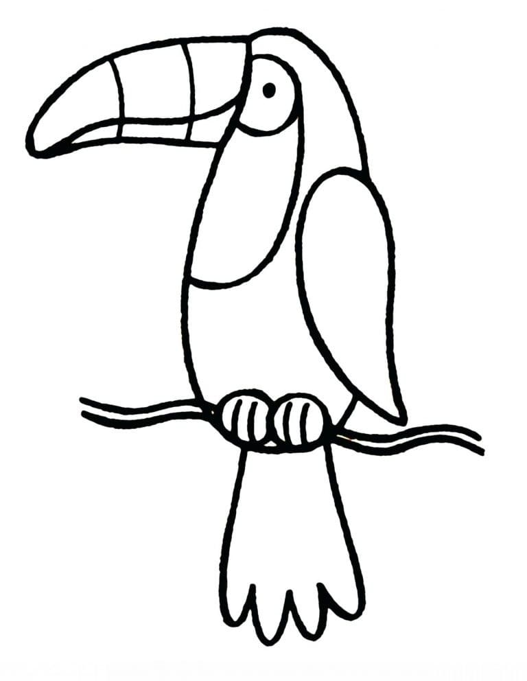 Coloriage gratuit Toucan #197549 de la collection Animaux à imprimer Coloriage gratuit Toucan #197549 de la collection Animaux à imprimer