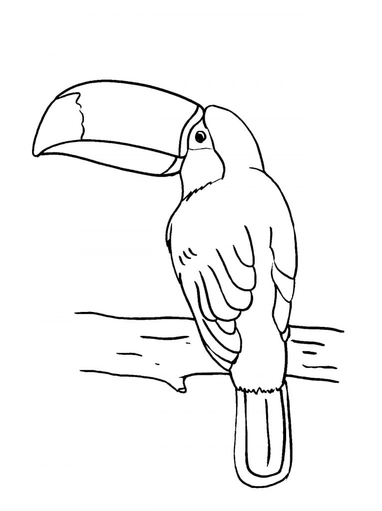 Dessin à colorier: Toucan (Animaux) #197553 - Coloriages à Imprimer Gratuits