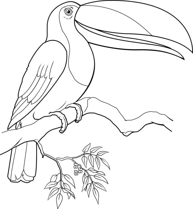 Dessin à colorier: Toucan (Animaux) #197554 - Coloriages à Imprimer Gratuits