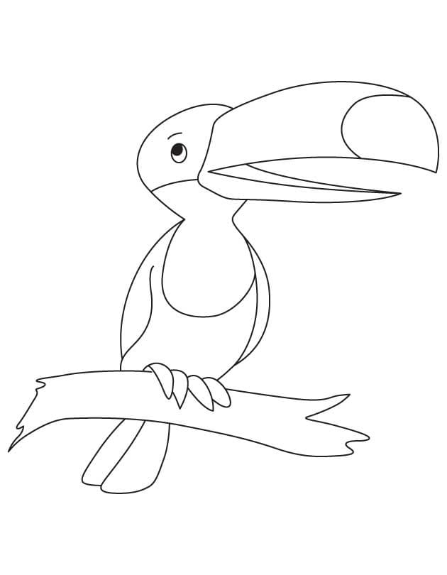 Dessin à colorier: Toucan (Animaux) #197569 - Coloriages à Imprimer Gratuits