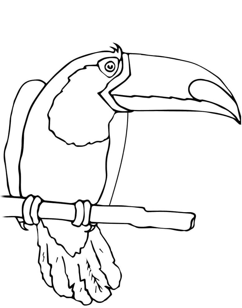 Dessin à colorier: Toucan (Animaux) #197571 - Coloriages à Imprimer Gratuits