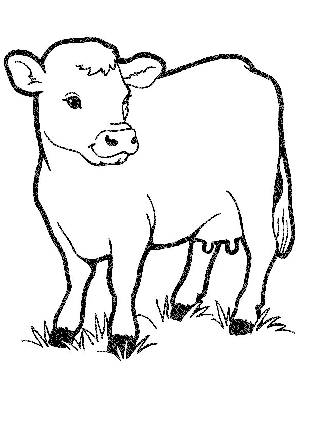 Dessin à colorier: Vache (Animaux) #13189 - Coloriages à Imprimer Gratuits