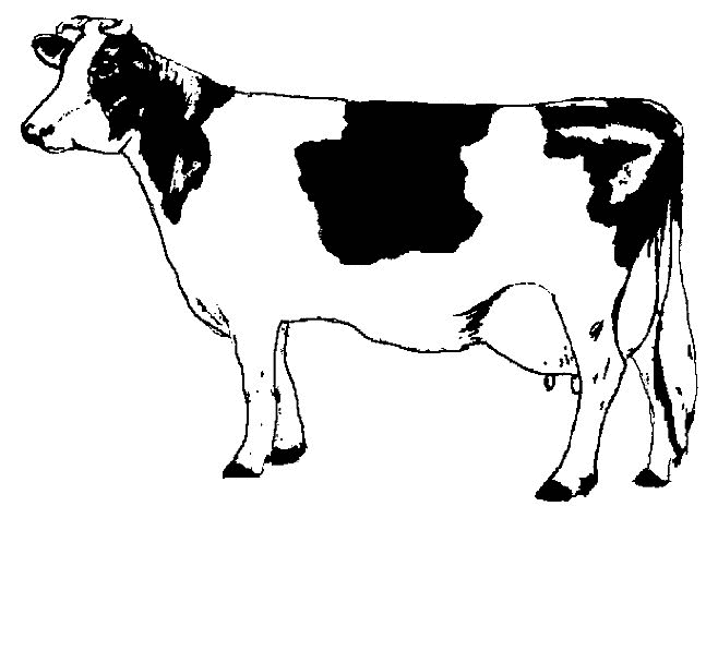 Dessin à colorier: Vache (Animaux) #13196 - Coloriages à Imprimer Gratuits