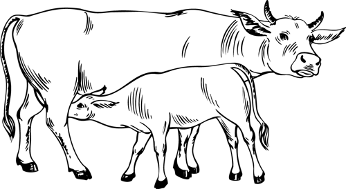 Dessin à colorier: Vache (Animaux) #13210 - Coloriages à Imprimer Gratuits