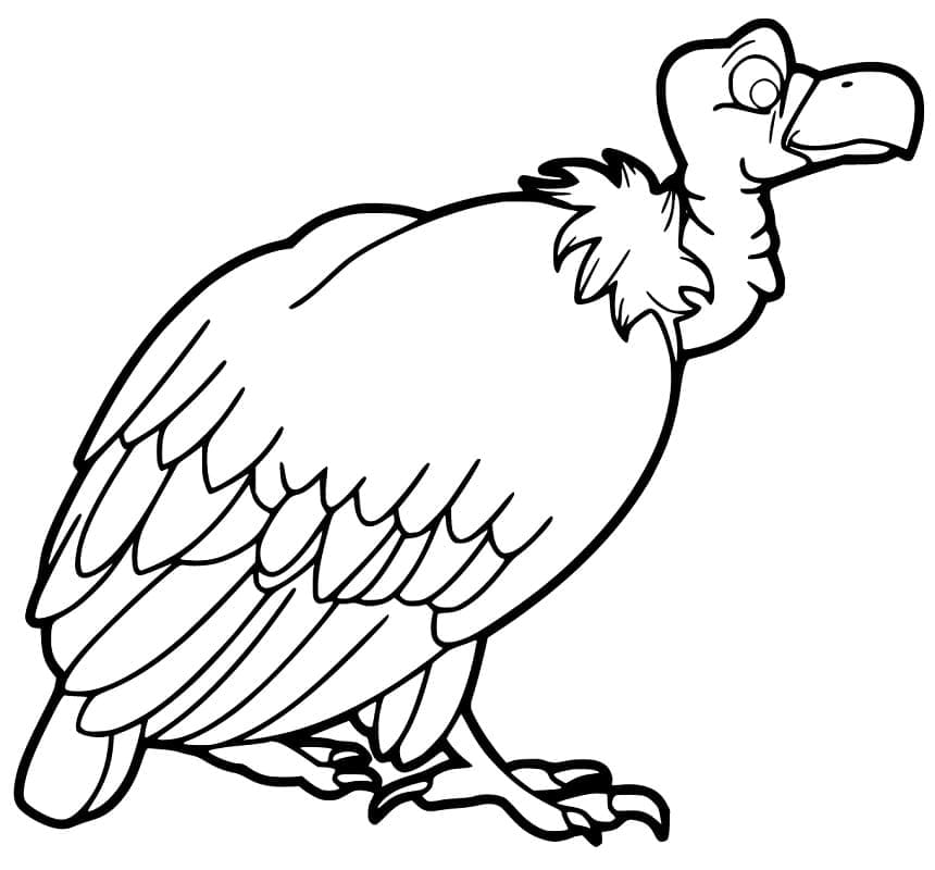 Dessin à colorier: Vautour (Animaux) #205312 - Coloriages à Imprimer Gratuits