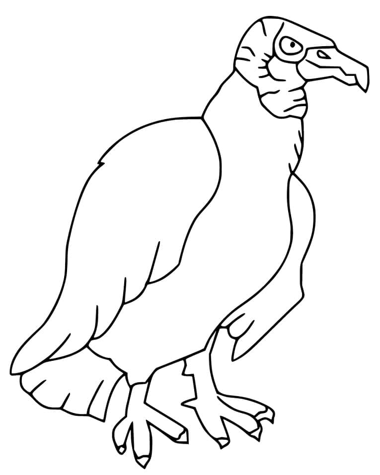 Dessin à colorier: Vautour (Animaux) #205336 - Coloriages à Imprimer Gratuits