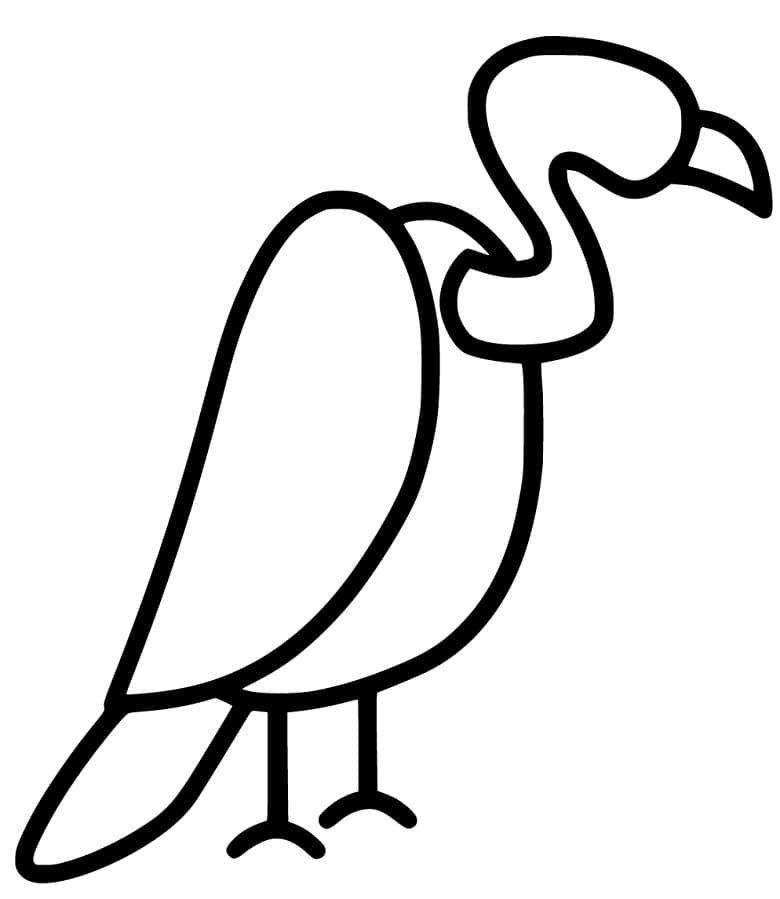Coloriage gratuit Vautour #205349 de la collection Animaux à imprimer