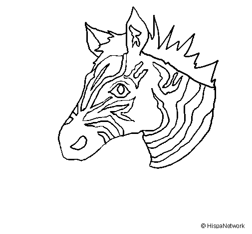 Dessin à colorier: Zèbre (Animaux) #13017 - Coloriages à Imprimer Gratuits