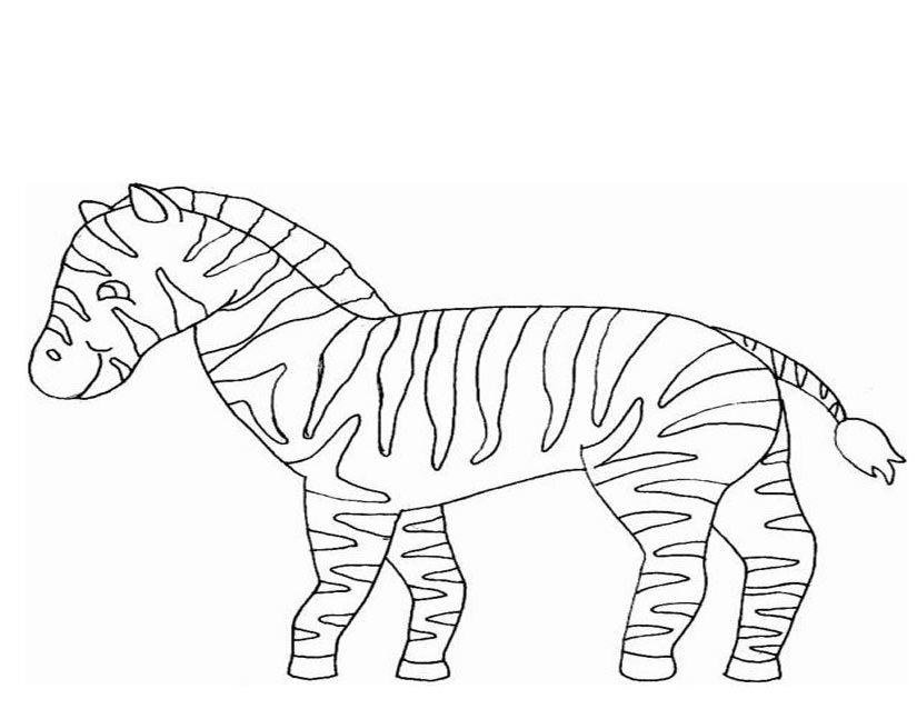 Dessin à colorier: Zèbre (Animaux) #13065 - Coloriages à Imprimer Gratuits