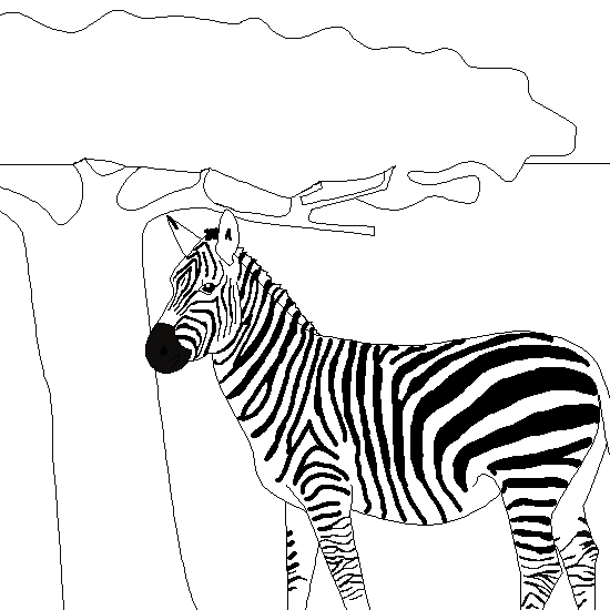 Dessin à colorier: Zèbre (Animaux) #13075 - Coloriages à Imprimer Gratuits