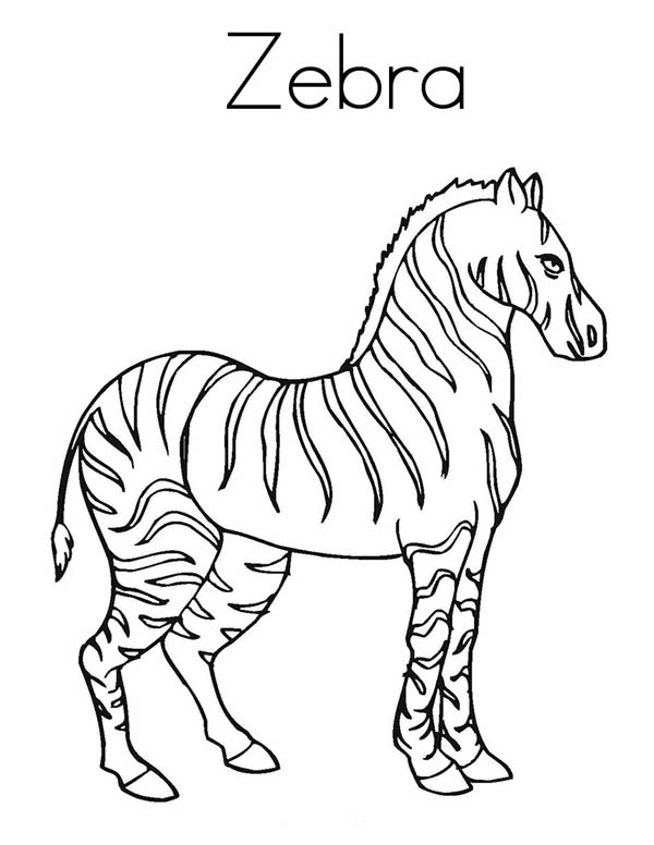 Dessin à colorier: Zèbre (Animaux) #13096 - Coloriages à Imprimer Gratuits