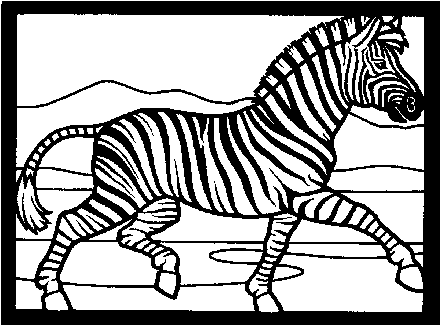 Dessin à colorier: Zèbre (Animaux) #13115 - Coloriages à Imprimer Gratuits