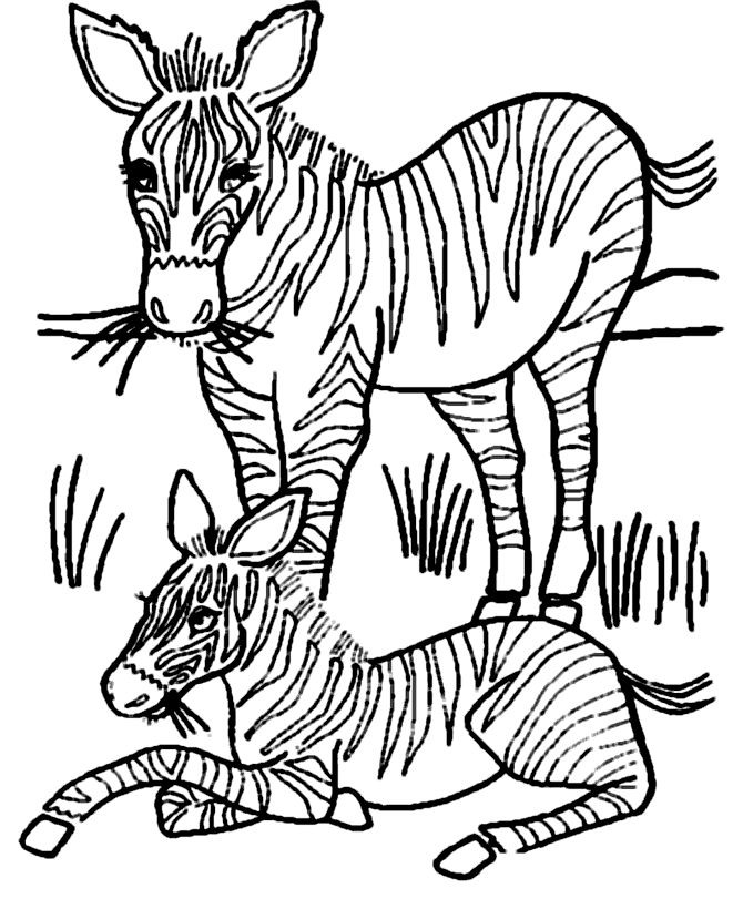 Dessin à colorier: Zèbre (Animaux) #13130 - Coloriages à Imprimer Gratuits