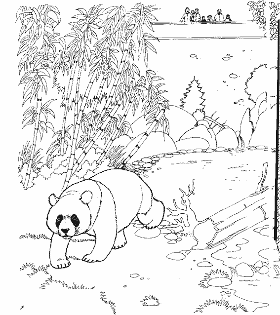 Dessin à colorier: Zoo (Animaux) #12641 - Coloriages à Imprimer Gratuits