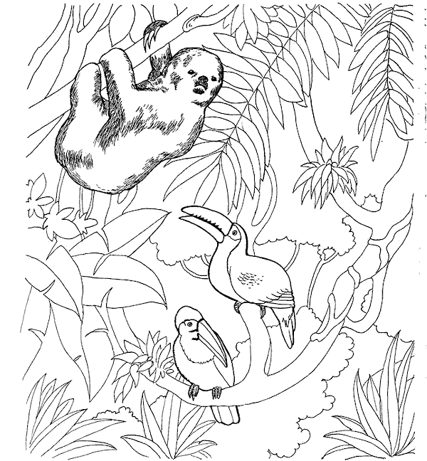 Dessin à colorier: Zoo (Animaux) #12655 - Coloriages à Imprimer Gratuits