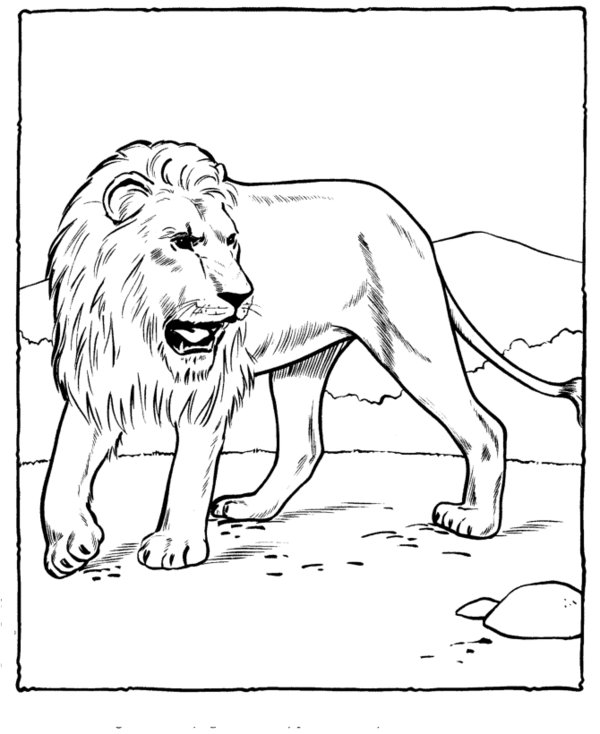 Dessin à colorier: Zoo (Animaux) #12656 - Coloriages à Imprimer Gratuits