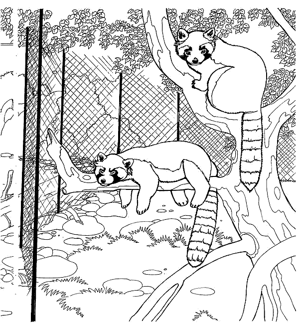 Dessin à colorier: Zoo (Animaux) #12702 - Coloriages à Imprimer Gratuits