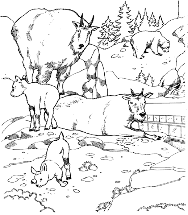 Dessin à colorier: Zoo (Animaux) #12713 - Coloriages à Imprimer Gratuits