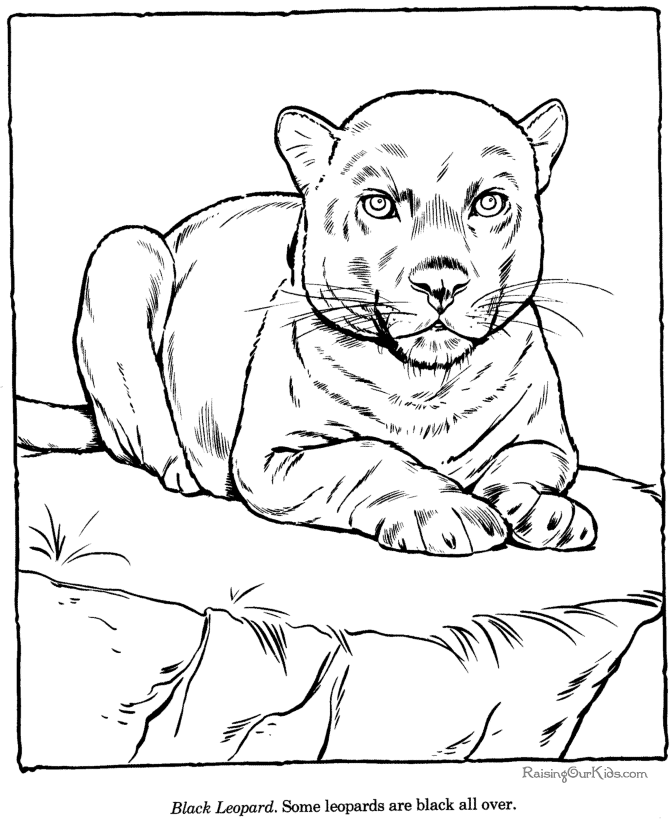 Dessin à colorier: Zoo (Animaux) #12733 - Coloriages à Imprimer Gratuits